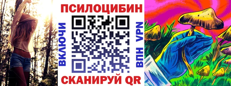 цена   Неман  Псилоцибиновые грибы Magic Shrooms 